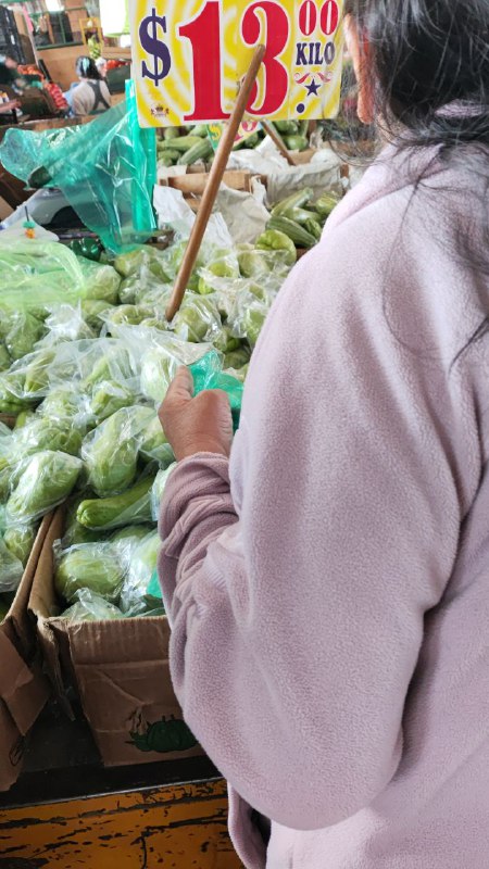 13: chayote kilo tercera sección #subasta