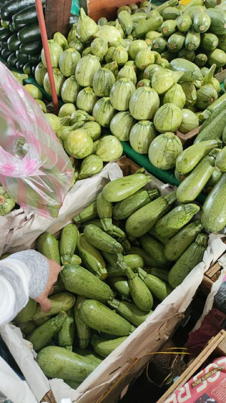 10: kilo calabaza en primera sección #subasta