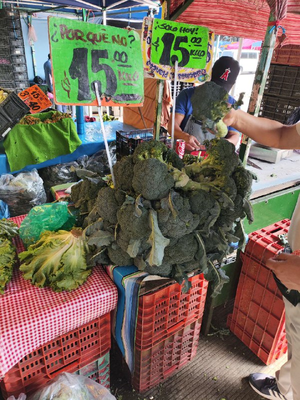 15: kilo brócoli en segunda sección en #subasta al inicio15: kilo brócoli en segunda sección en #subasta al inicio