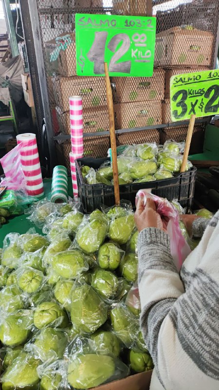 12: kilo chayote en primera sección de #subasta