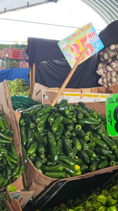 35: kilo cuaresmeño tercera sección #subasta