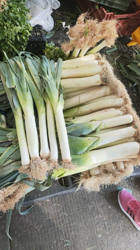 10: pza poro tercera sección #subasta