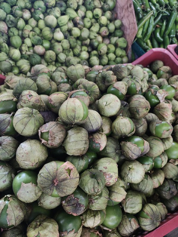 28: kilo tomatillo tercera sección #subasta28: kilo tomatillo tercera sección #subasta