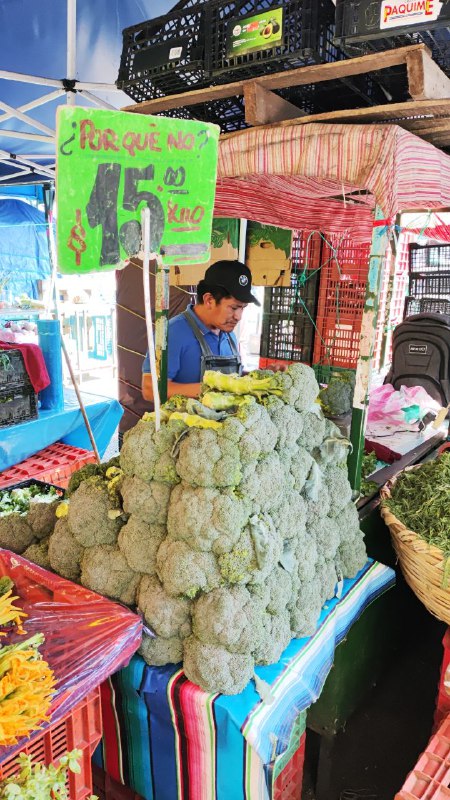 15: kilo brócoli segunda sección #subasta