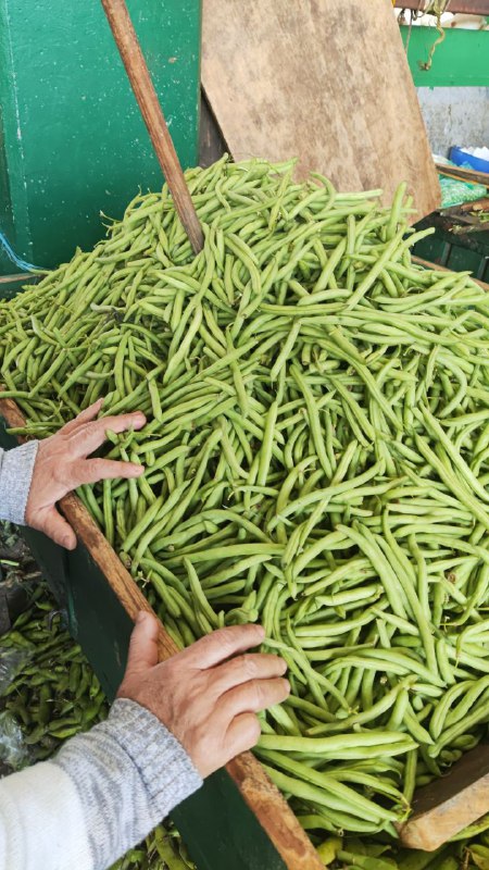 12: kilo ejote en tercera sección #subasta