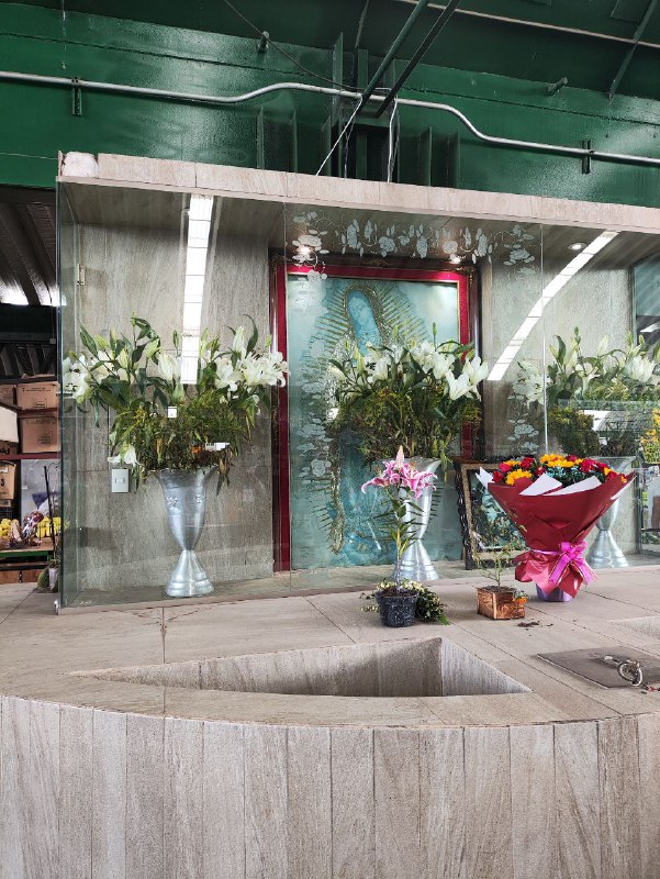 #test2 muchas imagenes#test2 muchas imagenes