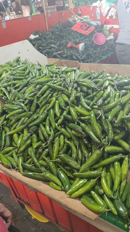 20: kilo chile serrano primera sección #subasta
