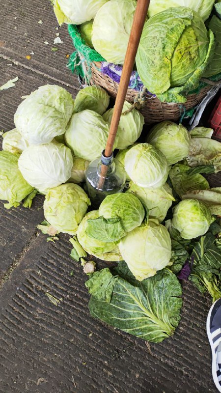 5: col pza fondo #subasta