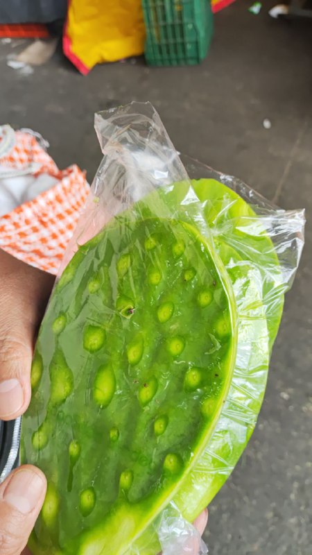 20: bolsa de nopales medianos primera  sección #subasta