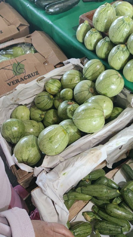 25: kilo calabaza en bola primera sección #subasta