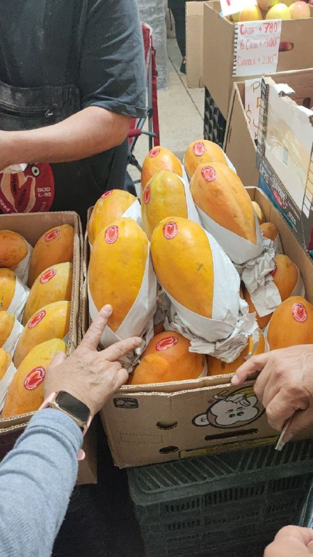 15: papaya kilo #K_65