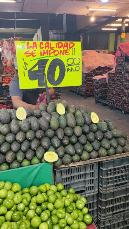 40: kilo aguacate #I-125