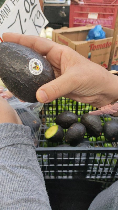 40: kilo aguacate hass #L_6
