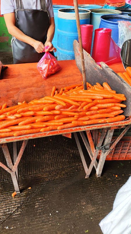 7: zanahoria en #subasta