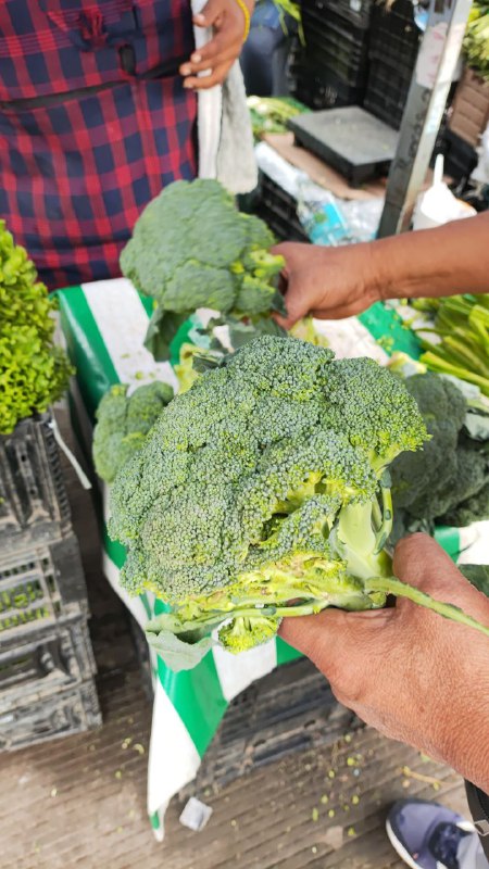 30: brócoli kilo segunda sección en #subasta