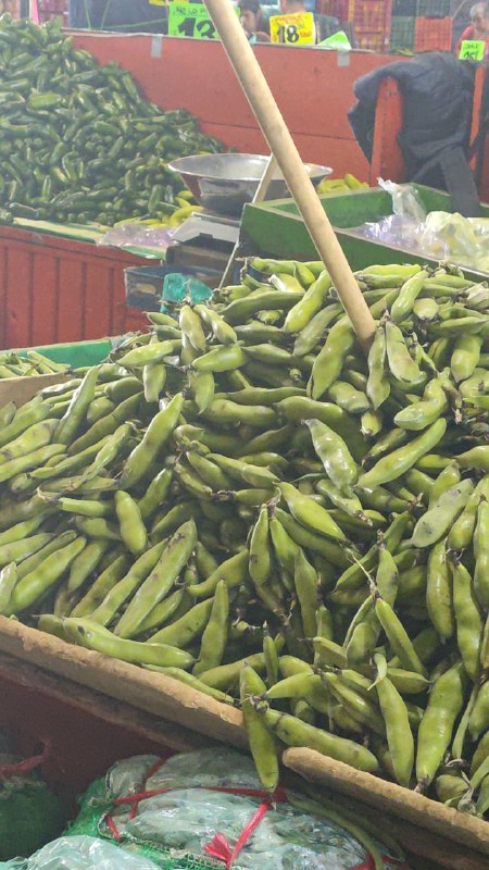 18: kilo de haba primera sección en # subasta