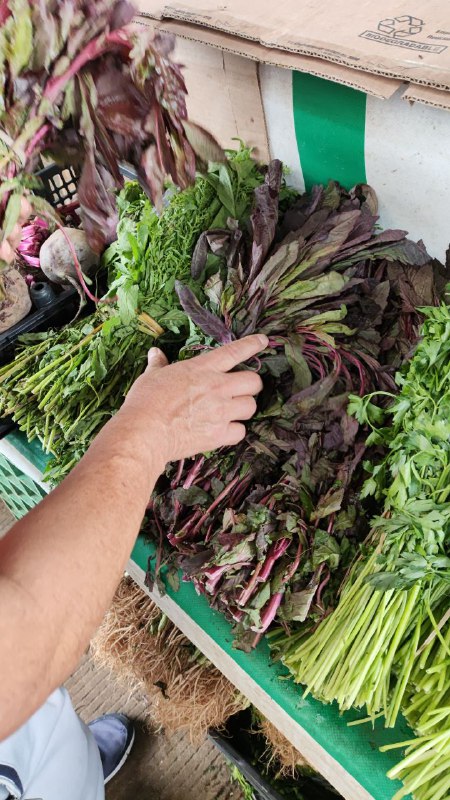 10: pza epazote rojo en segunda sección de # subasta