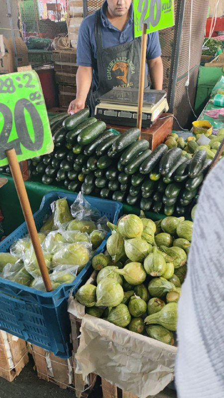 20: kilo de pepino en primera sección #subasta