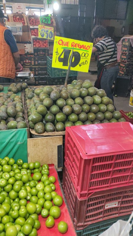 40: kilo aguacate #I-125