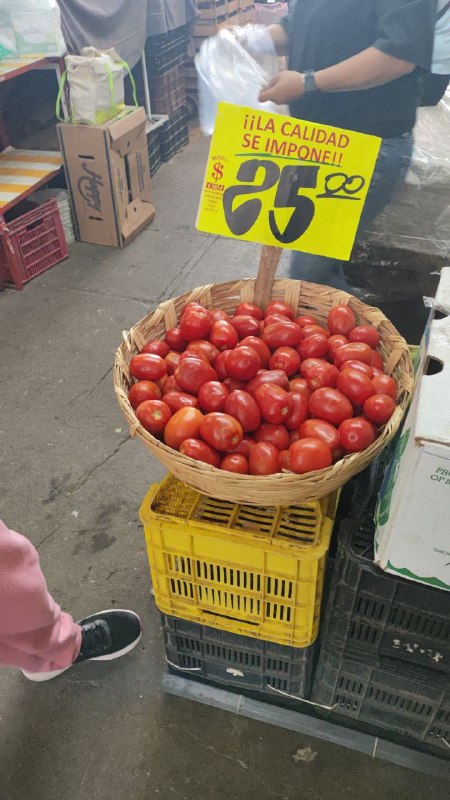 25: kilo jitomate #K_53