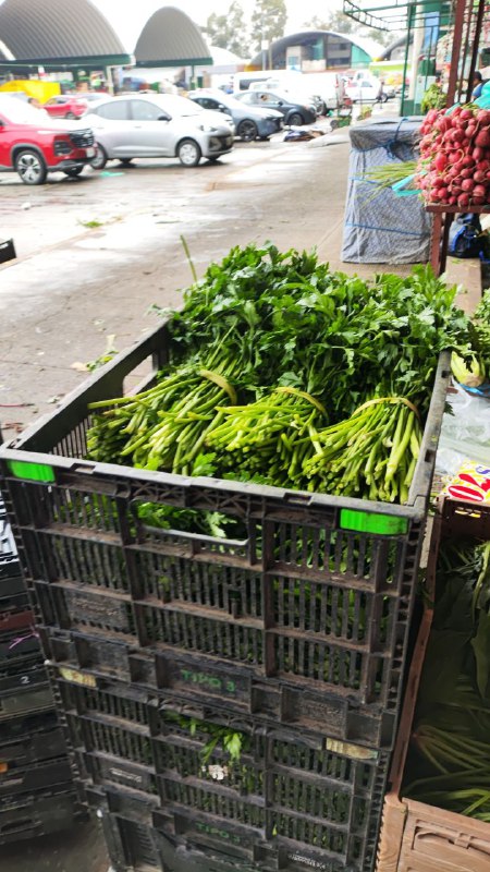 40: perejil manojo #subasta