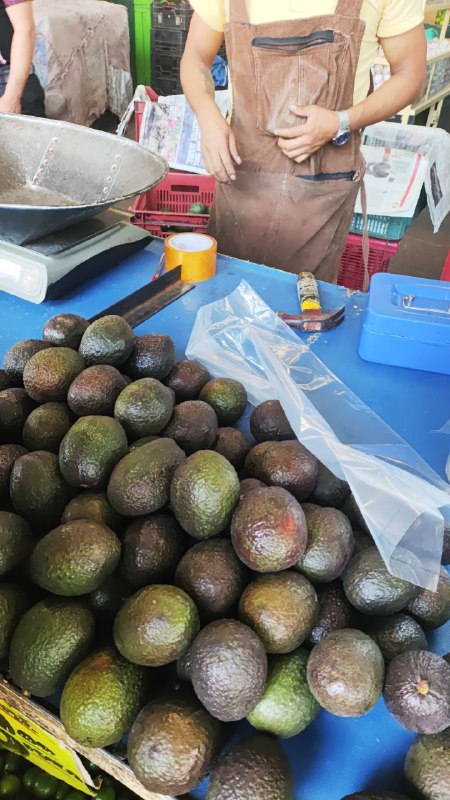 40: kilo aguacate tercera sección #subasta