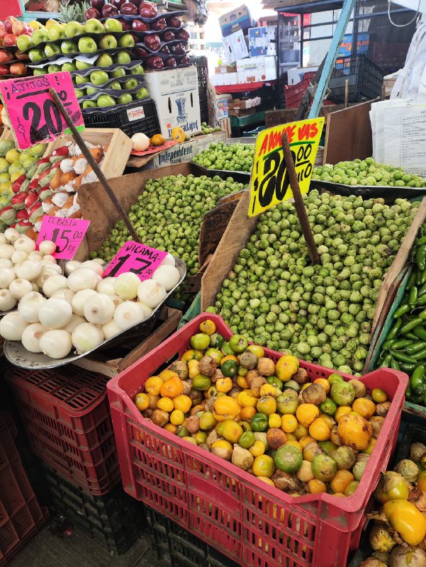 #test2 muchas imagenes#test2 muchas imagenes